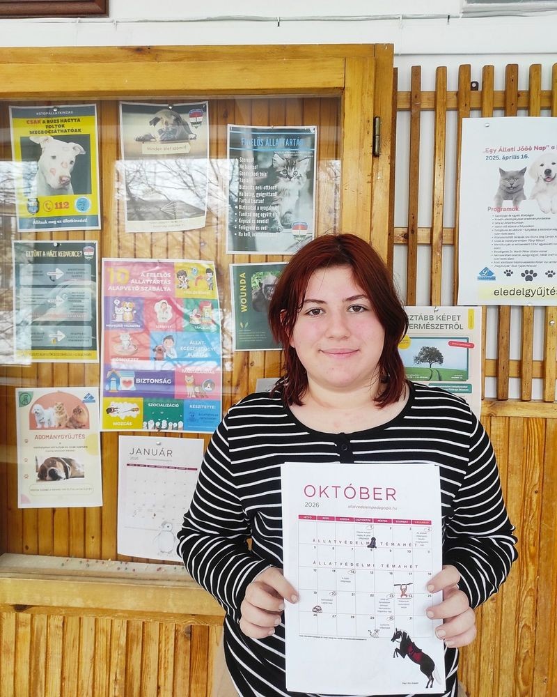 Diakép illusztrácio 1